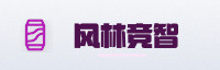 全球伙伴